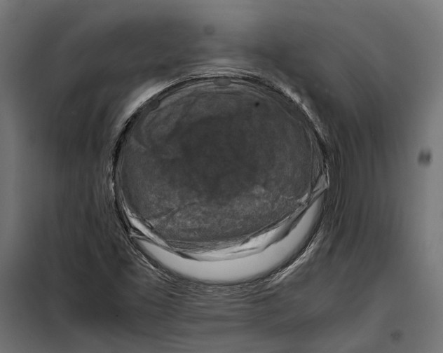 X0000099981453200806201414