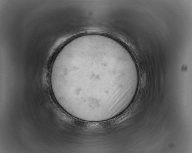 X0000099981454200806201414