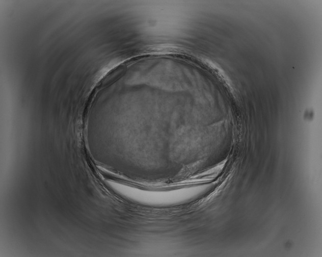 X0000099981457200806201414