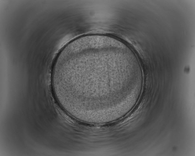 X0000099981459200806201414