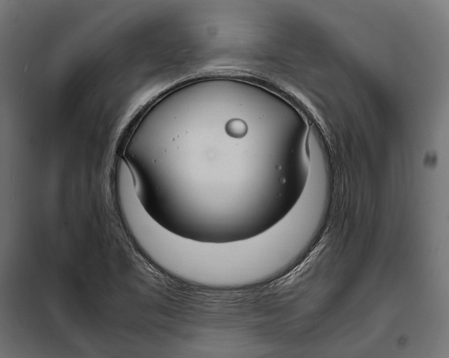 X0000099981461200806201414