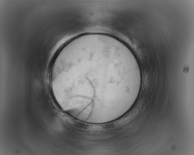 X0000099981462200806201414