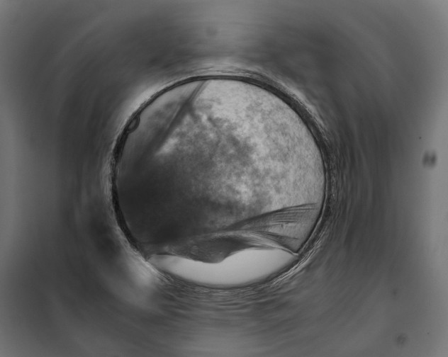 X0000099981463200806201414