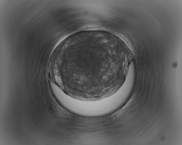 X0000099981465200806201414