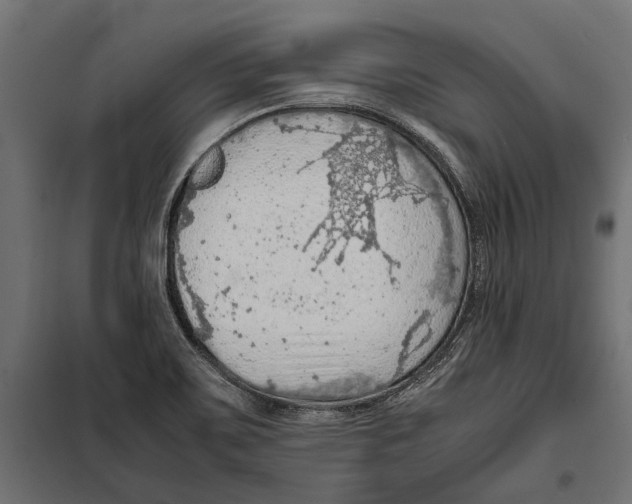 X0000099981467200806201414