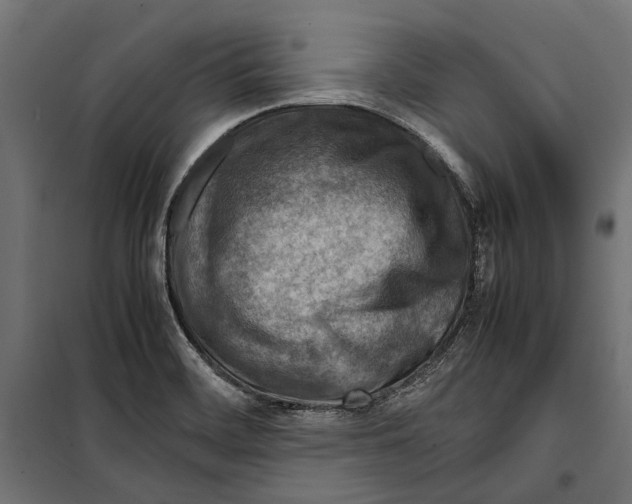 X0000099981468200806201414