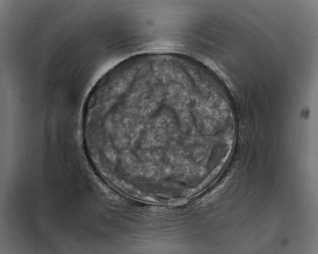 X0000099981469200806201414