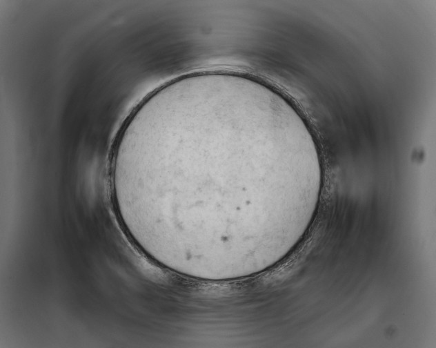 X0000099981470200806201414