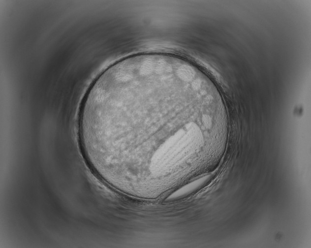 X0000099981471200806201414