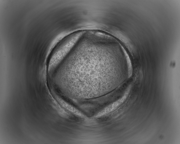 X0000099981472200806201414