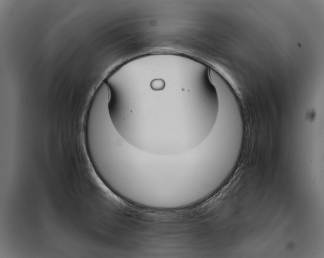 X0000099981476200806201414