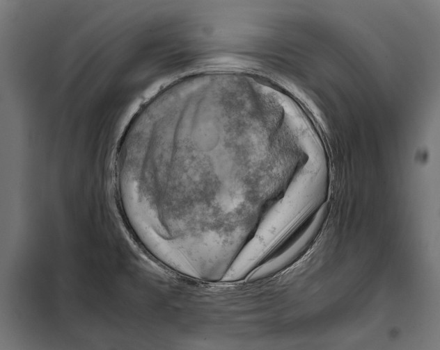 X0000099981477200806201414