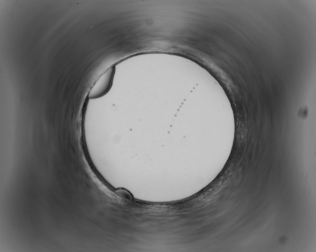 X0000099981479200806201414