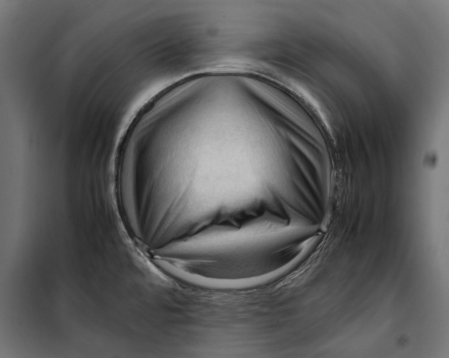 X0000099981480200806201414