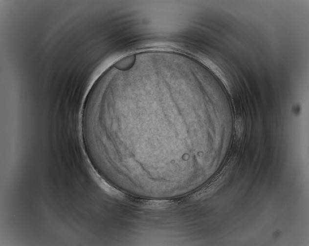 X0000099981482200806201414