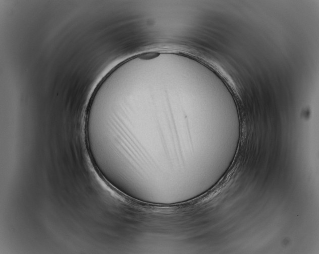 X0000099981484200806201414