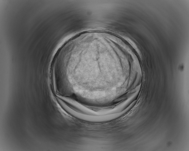 X0000099981485200806201414