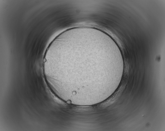 X0000099981486200806201414