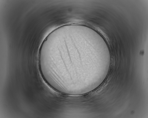 X0000099981487200806201414