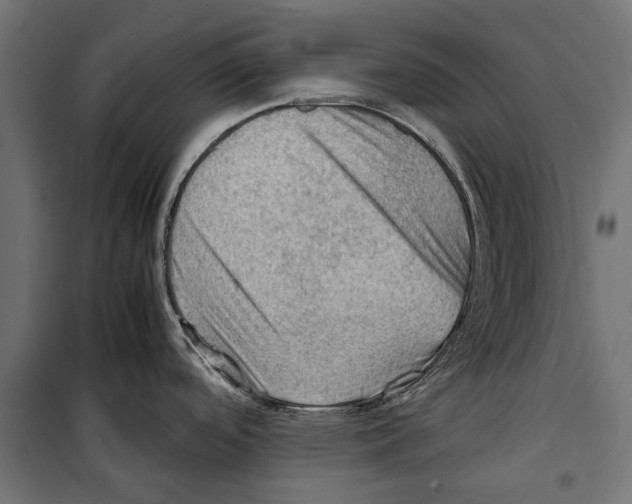 X0000099981488200806201414