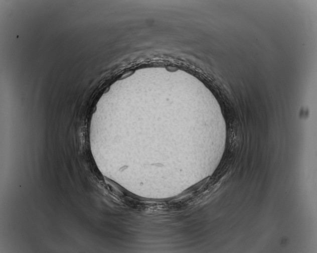 X0000099981490200806201413