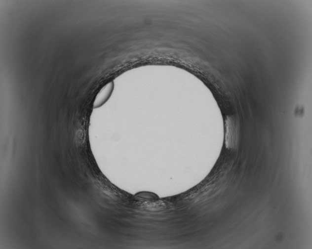 X0000099981491200806201413