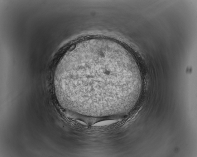 X0000099981494200806201413