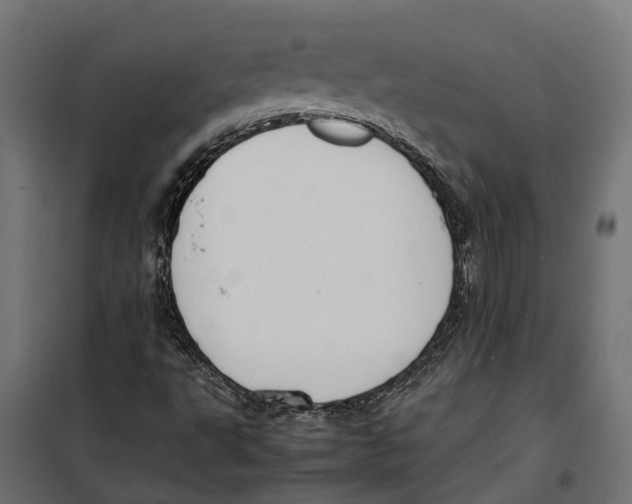 X0000099981495200806201413