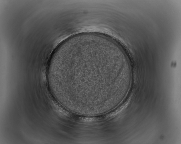 X0000099981497200806201413