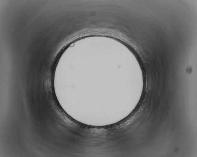 X0000099981498200806201413