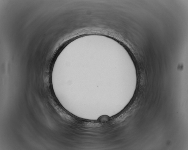 X0000099981499200806201413