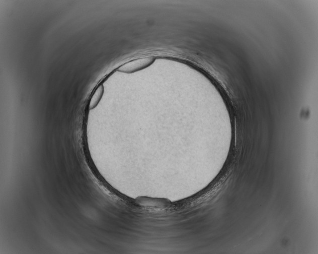 X0000099981500200806201413