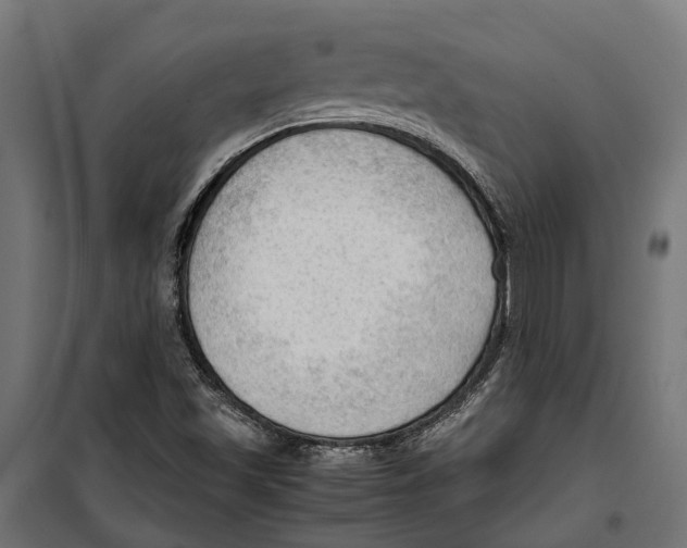 X0000099981501200806201413