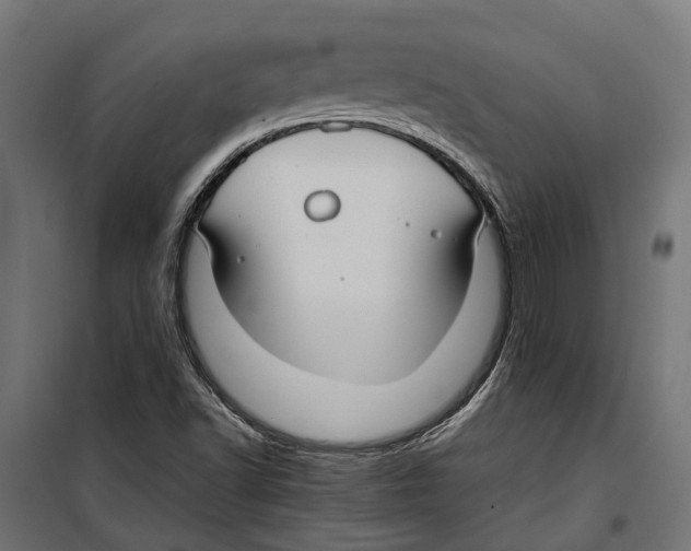 X0000099981502200806201413