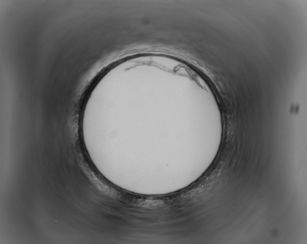 X0000099981503200806201413