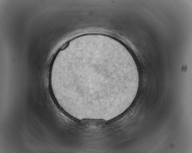 X0000099981504200806201413