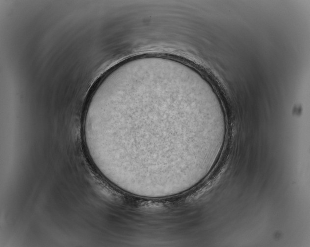 X0000099981505200806201413