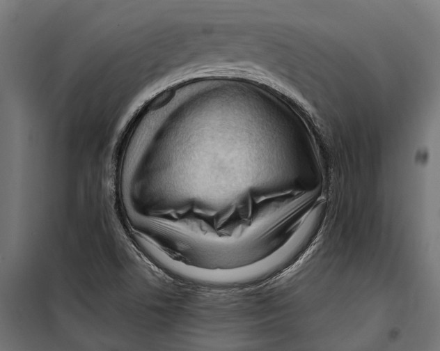 X0000099981506200806201413