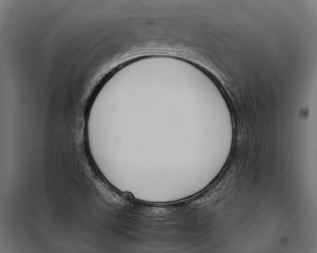 X0000099981507200806201413