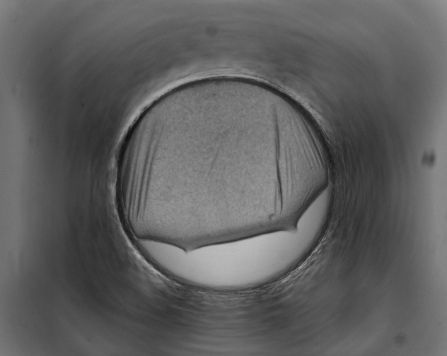 X0000099981508200806201413