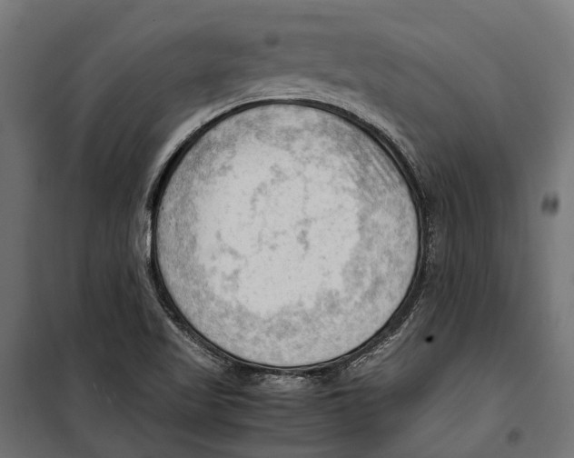 X0000099981509200806201413