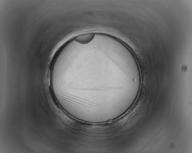 X0000099981510200806201413