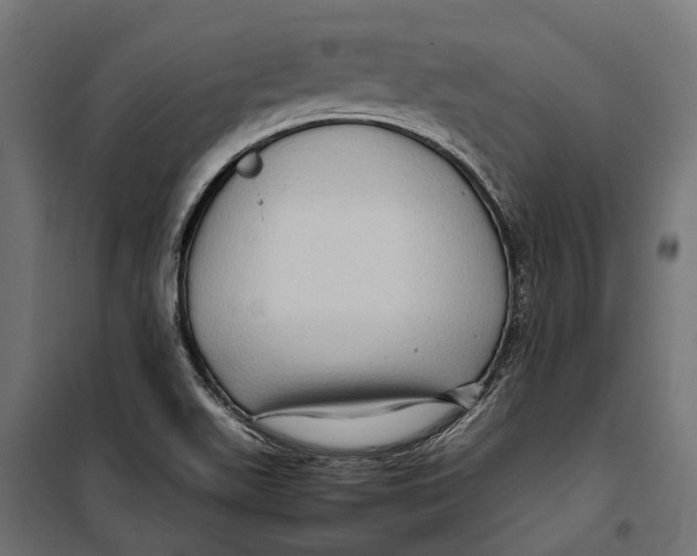 X0000099981511200806201413