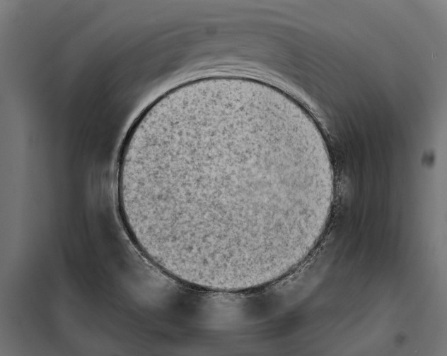 X0000099981514200806201413