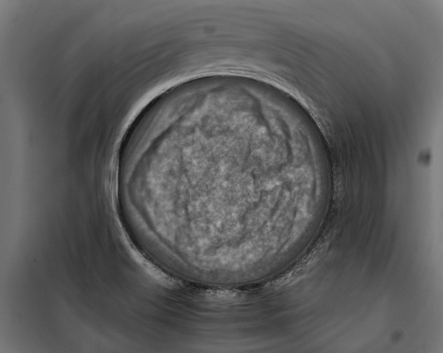 X0000099981515200806201413