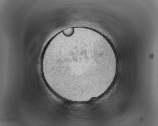 X0000099981517200806201413