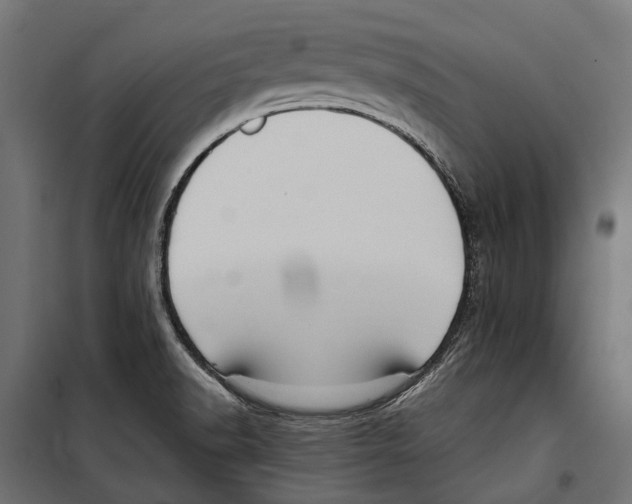 X0000099981518200806201413