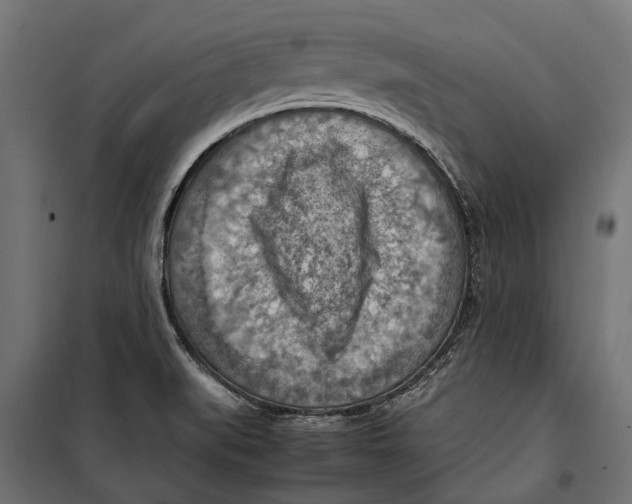 X0000099981519200806201413