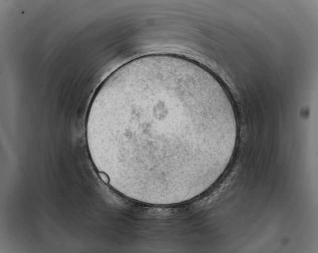 X0000099981521200806201413