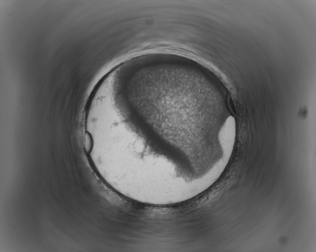 X0000099981522200806201413